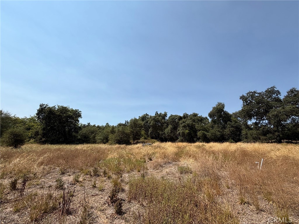 5037 Caroline Property Photo 18