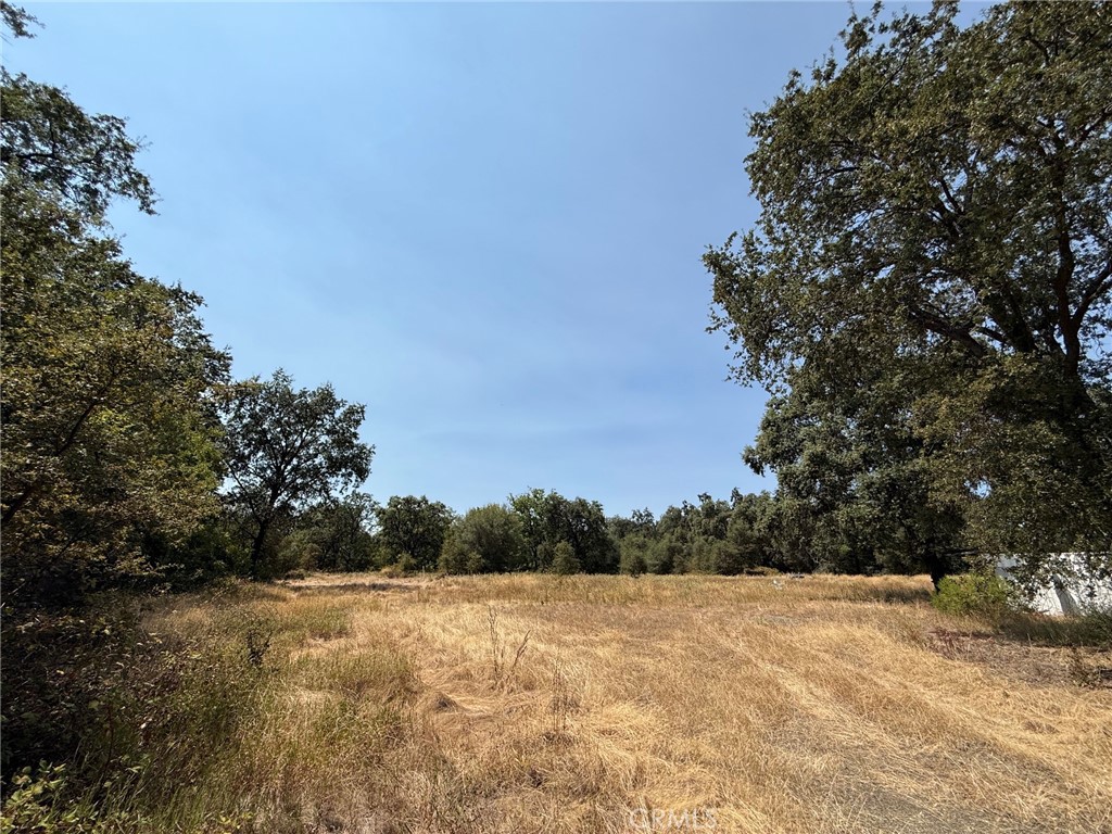 5037 Caroline Property Photo 20