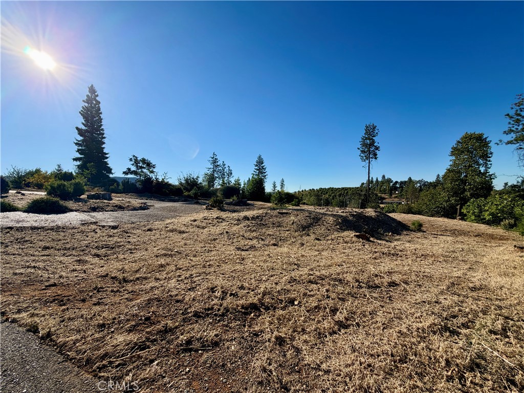 1880 Andrew Property Photo 1