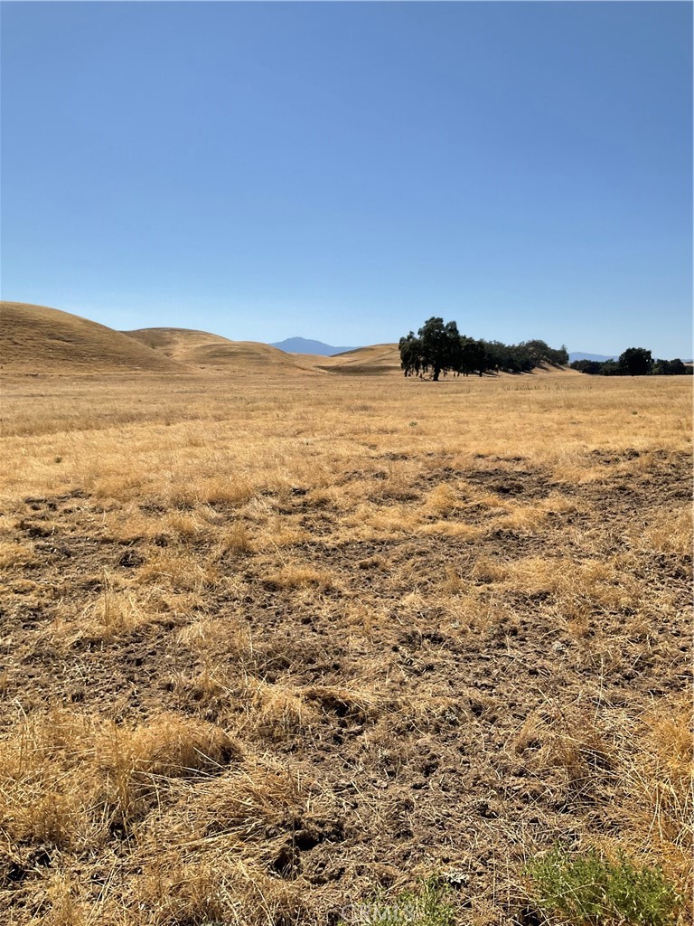 244 Ishi Property Photo 1