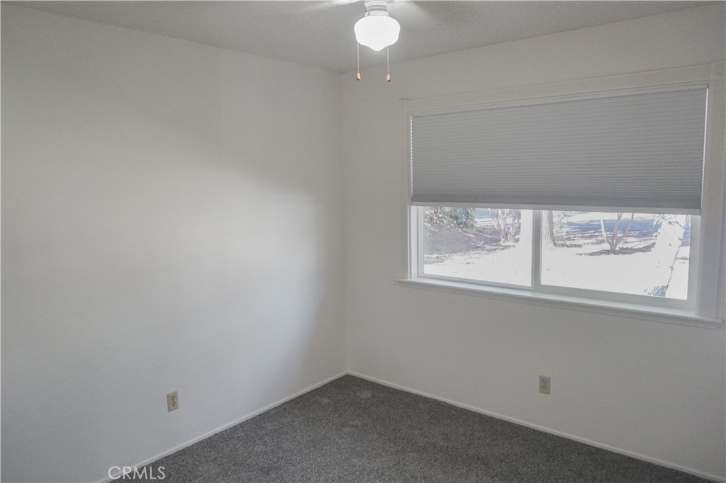2324 Fern Property Photo 7
