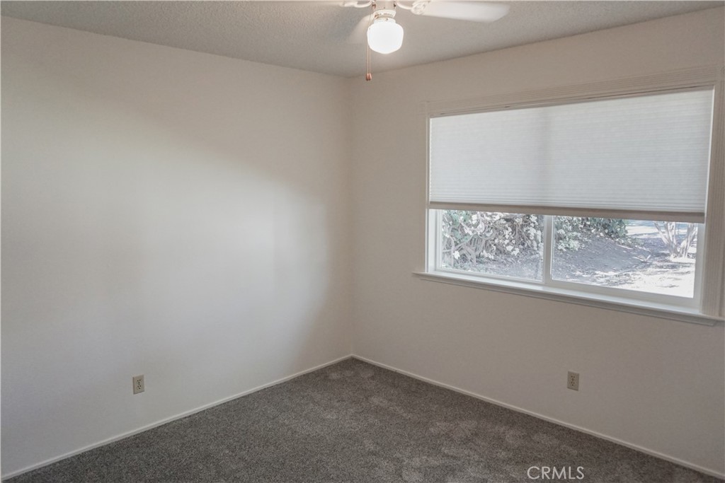 2324 Fern Property Photo 11
