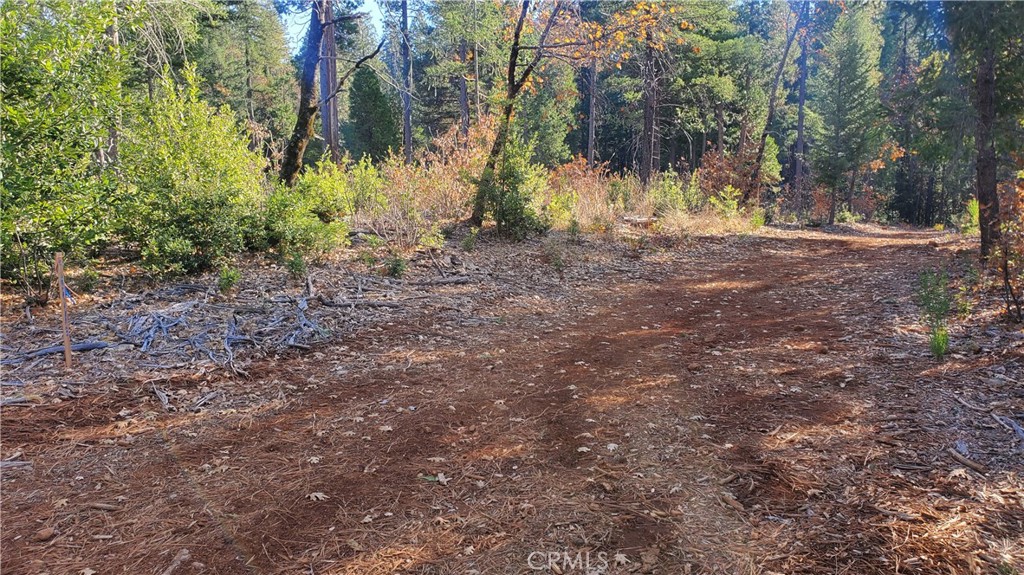 88 Coutolenc Property Photo 14