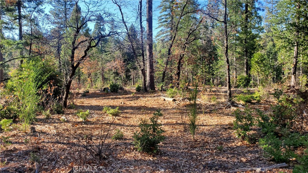 88 Coutolenc Property Photo 15
