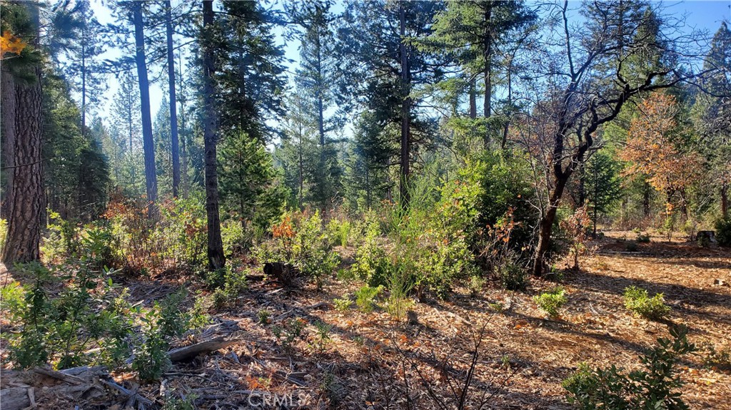 88 Coutolenc Property Photo 16