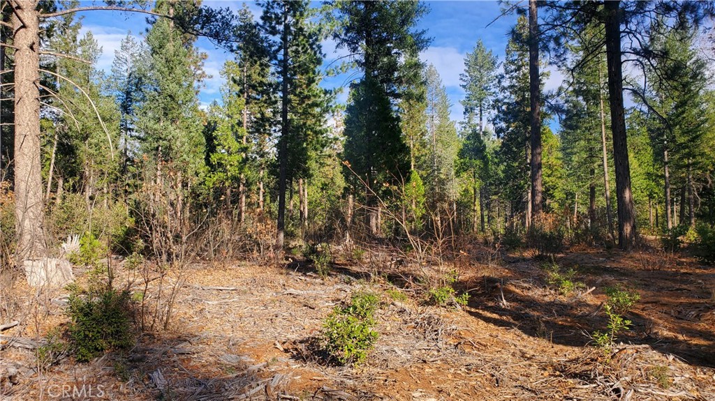 88 Coutolenc Property Photo 19