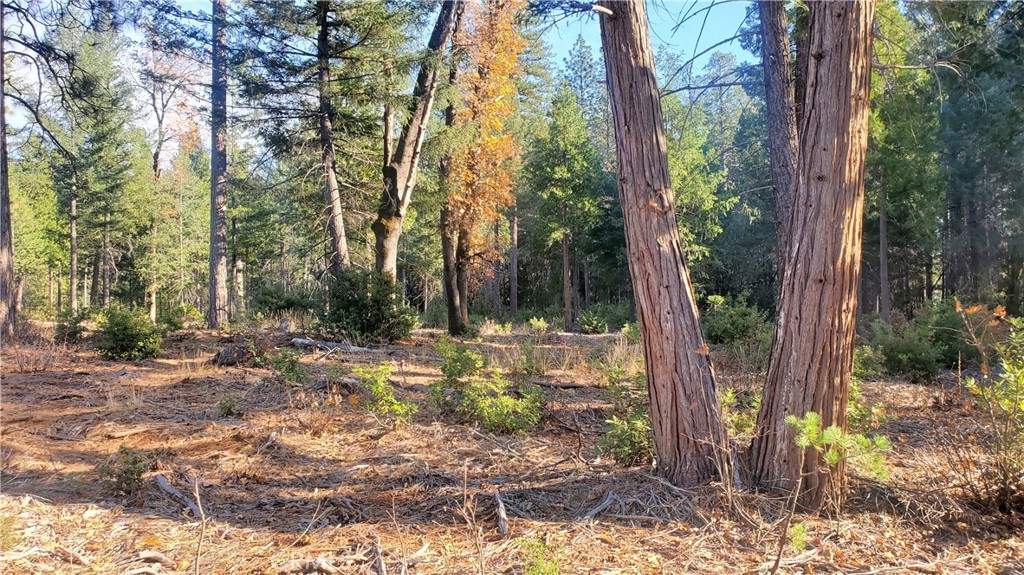 88 Coutolenc Property Photo 20