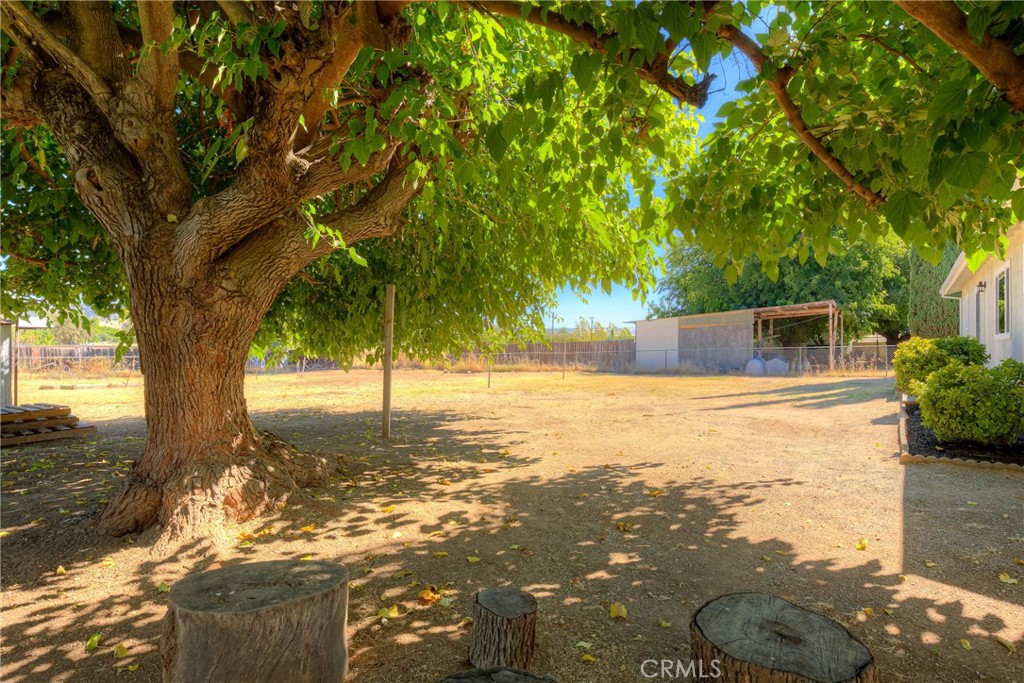 652 Plumas Property Photo 32