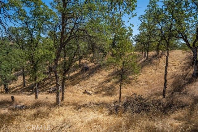 18710 Saddleback Ridge Road Property Photo 40