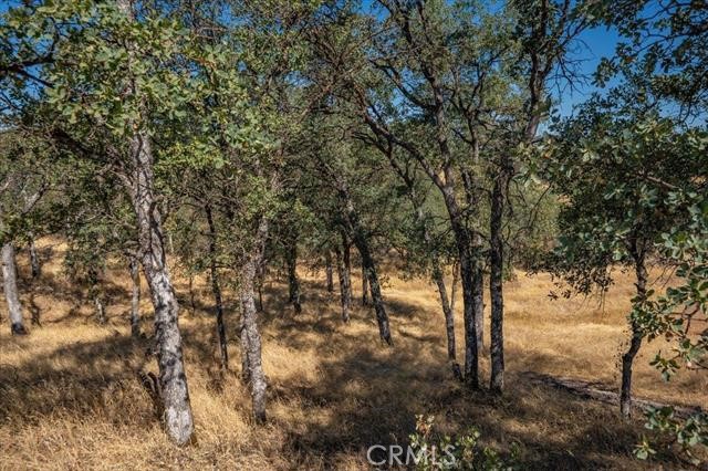 18710 Saddleback Ridge Road Property Photo 41
