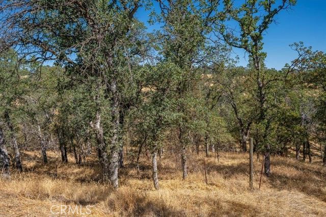 18710 Saddleback Ridge Road Property Photo 42