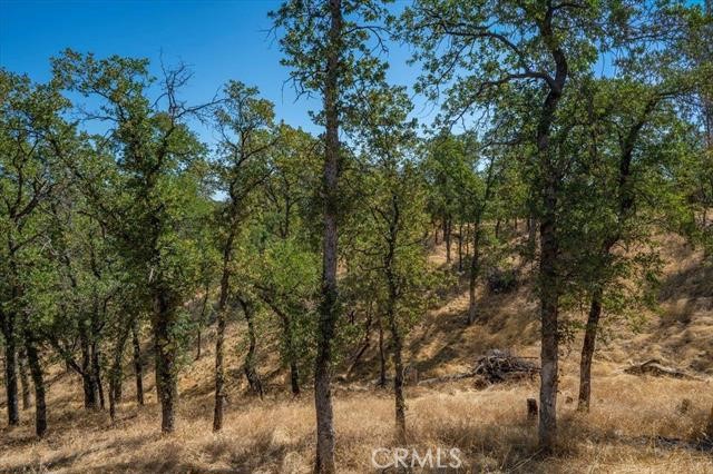 18710 Saddleback Ridge Road Property Photo 43
