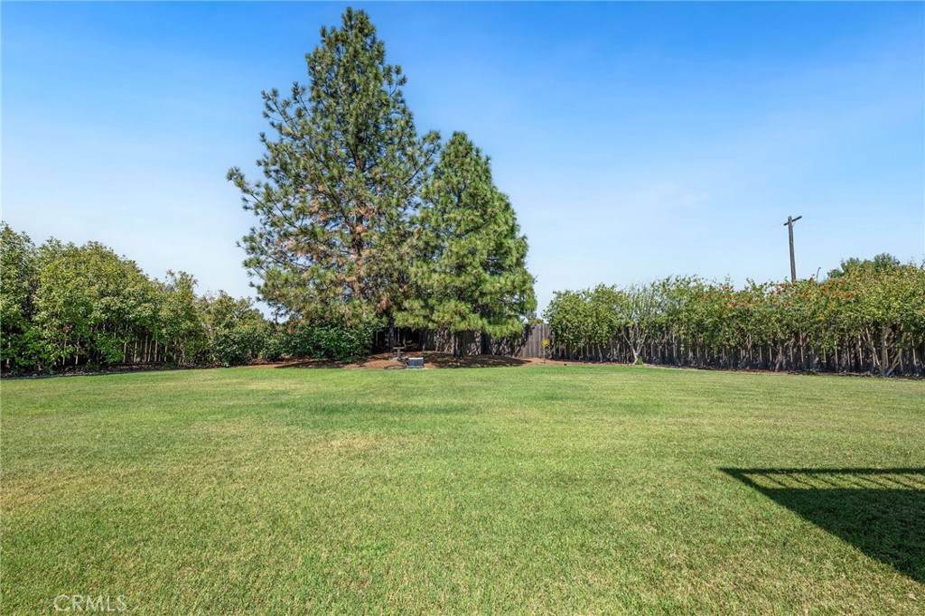 129 Tanner Way Property Photo 35