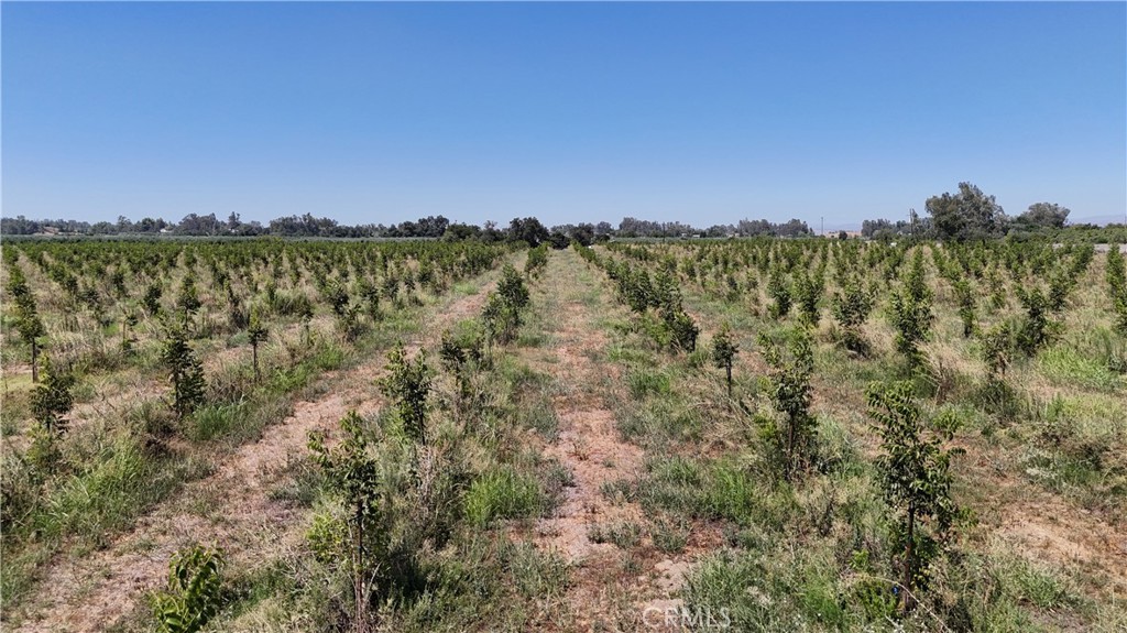 0 Loleta Property Photo 6