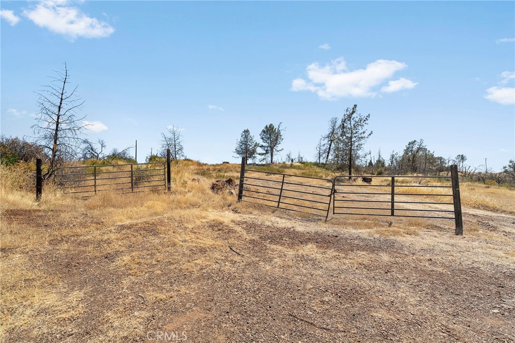 0 Bear Paw Road Property Photo 2