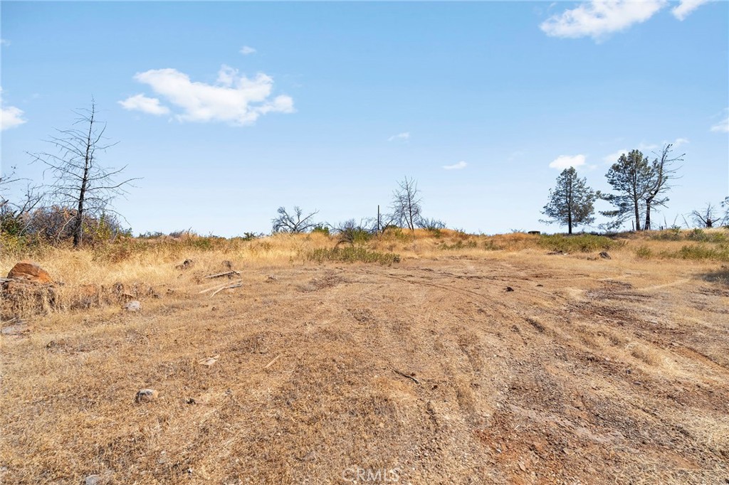 0 Bear Paw Road Property Photo 3