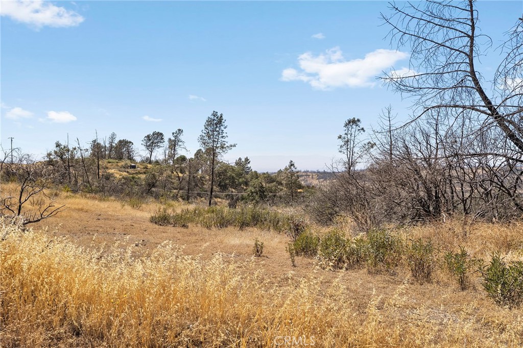 0 Bear Paw Road Property Photo 4