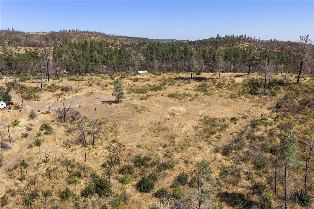 0 Bear Paw Road Property Photo 11