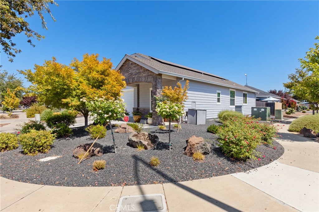 1143 Cork Oak Property Photo 18