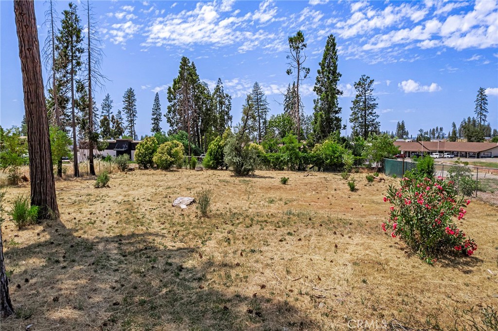 5887 Almond Property Photo 8