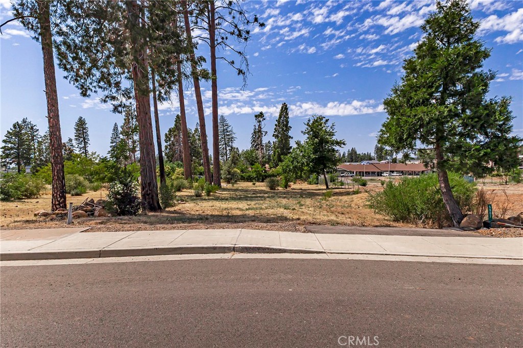 5907 Almond Property Photo 5