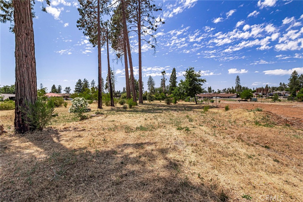 5907 Almond Property Photo 7