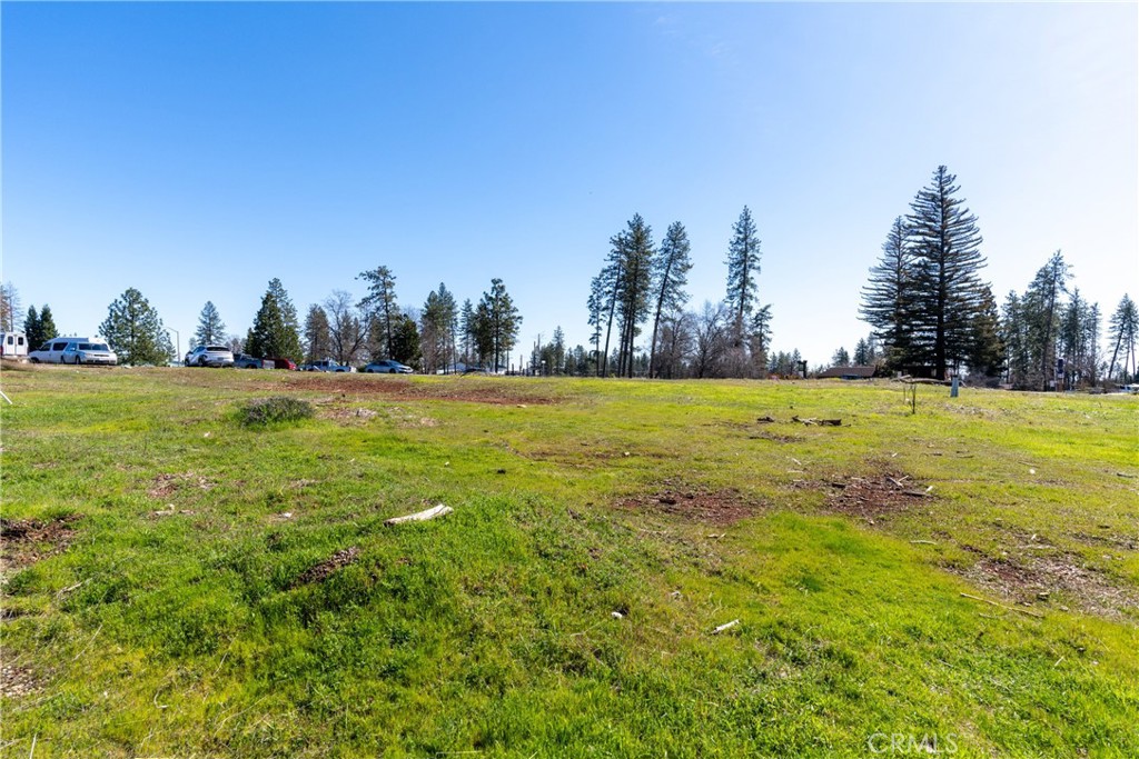 7067 Skyway Property Photo 6