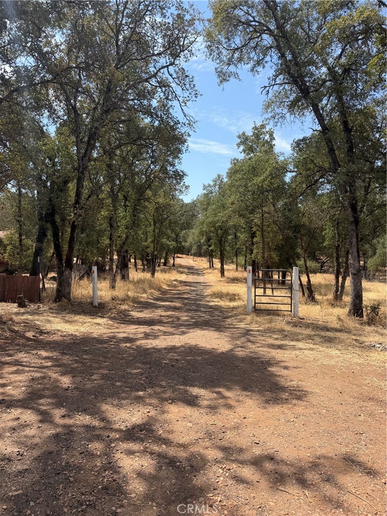 2771 Pinecrest Property Photo 5