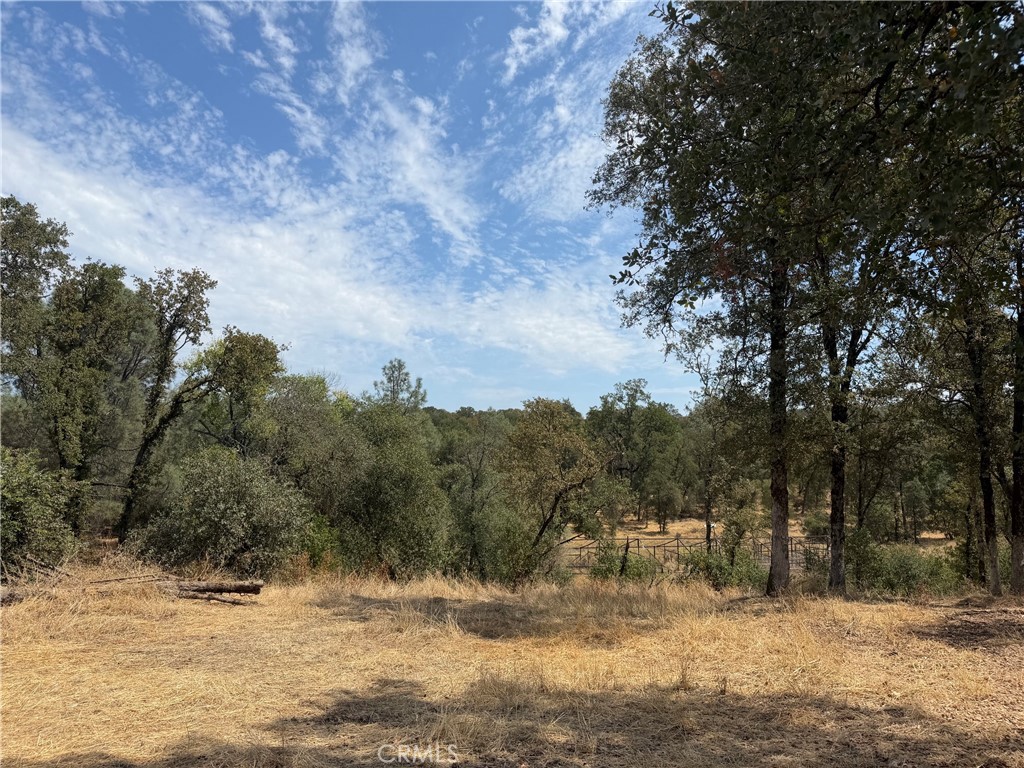 2771 Pinecrest Property Photo 7