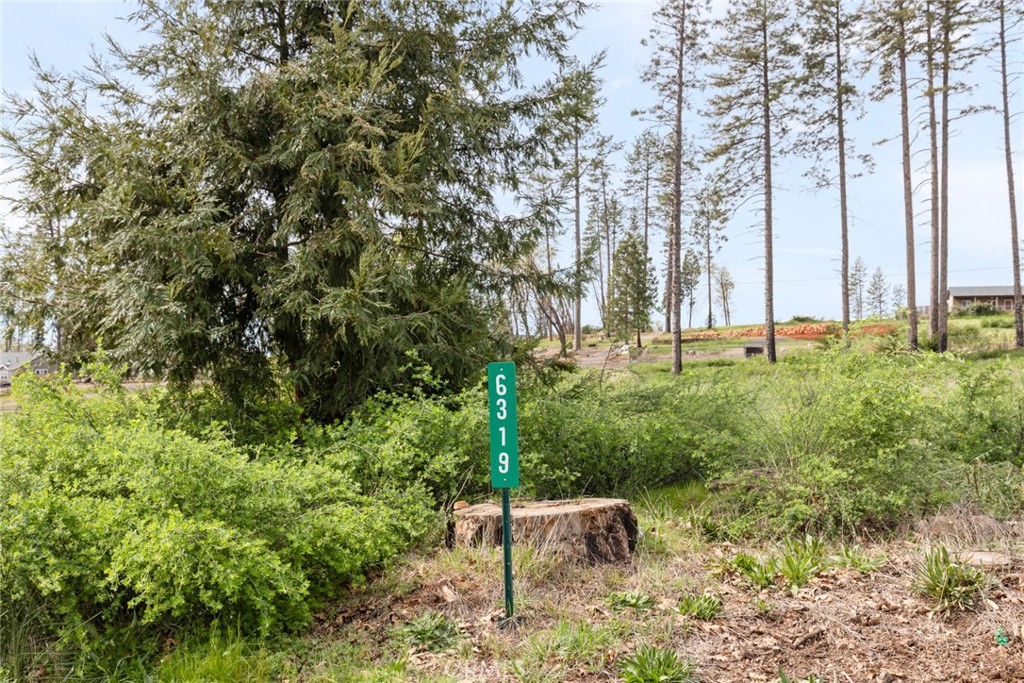 6319 Azalea Lane Property Photo 8