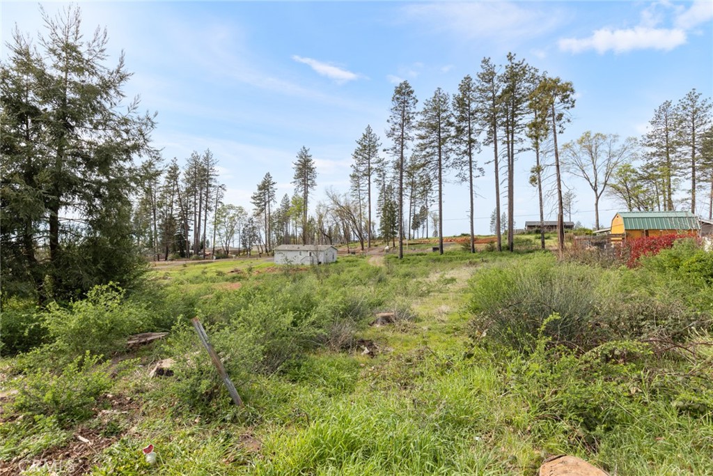 6319 Azalea Lane Property Photo 9