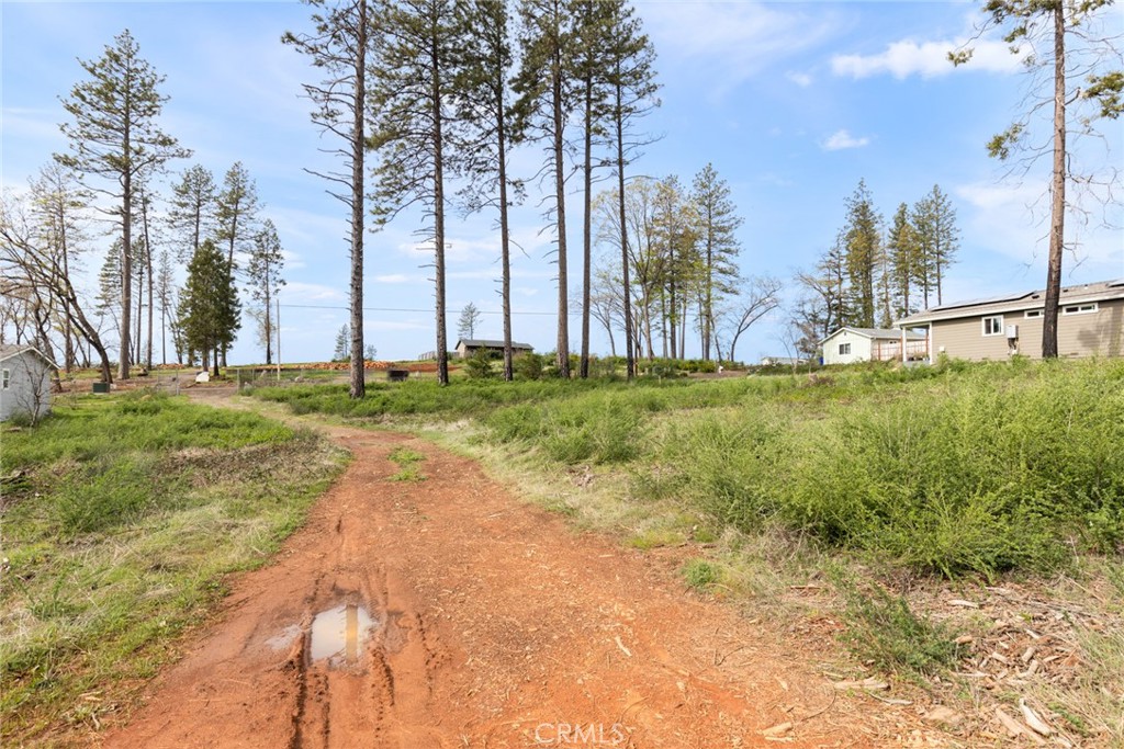6319 Azalea Lane Property Photo 11