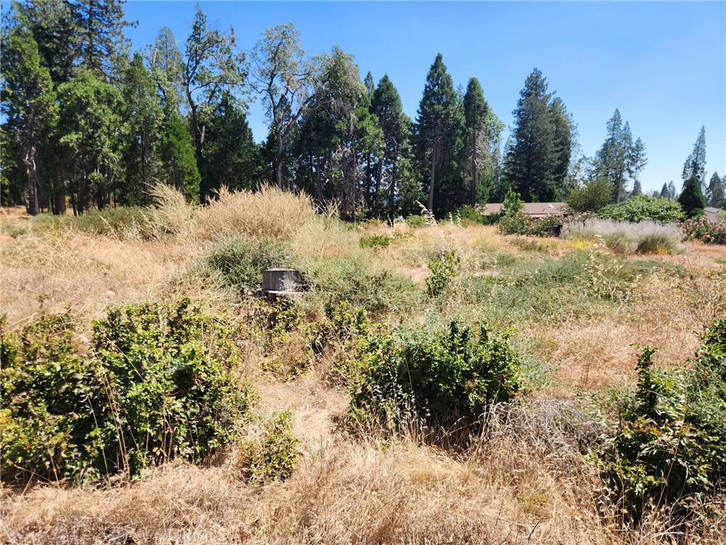 13744 W Park Property Photo 1