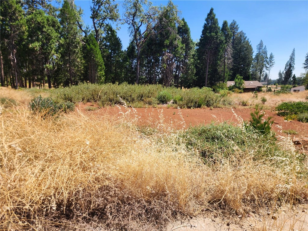 13744 W Park Property Photo 2