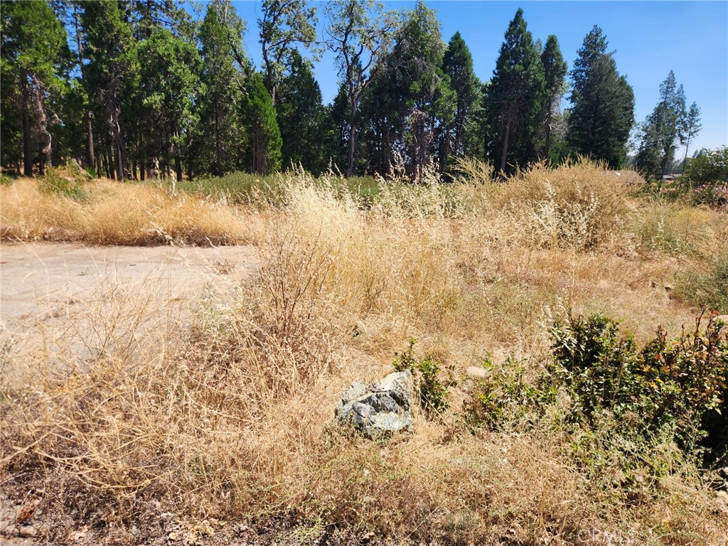 13744 W Park Property Photo 3