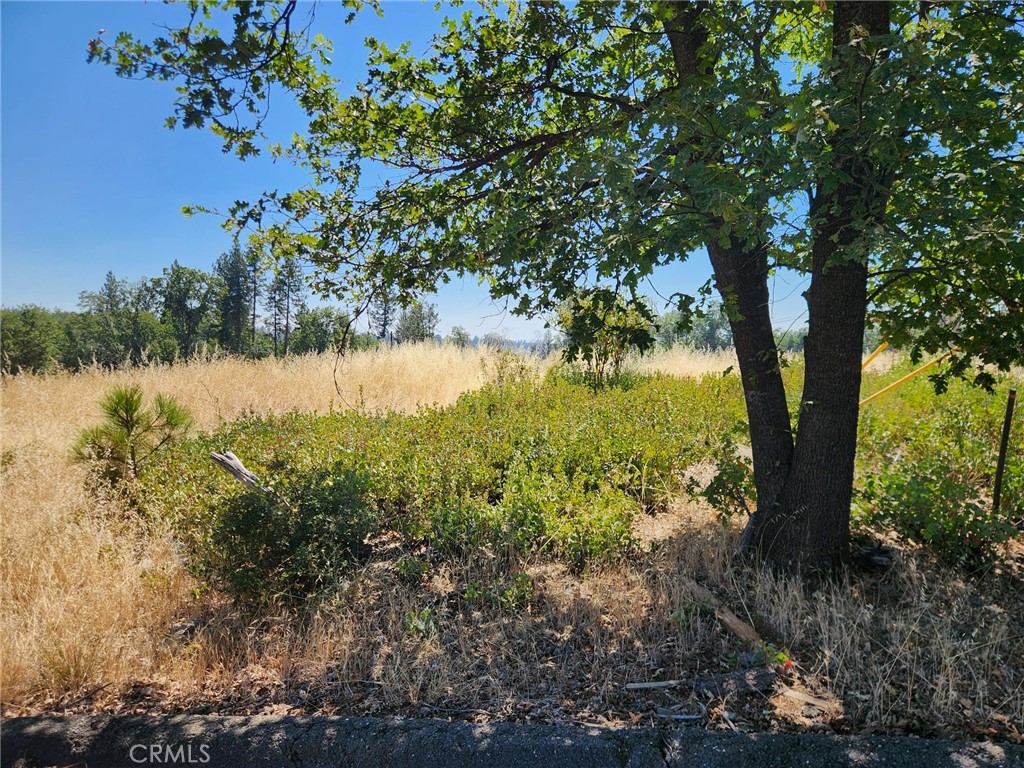 13602 Andover Property Photo 1