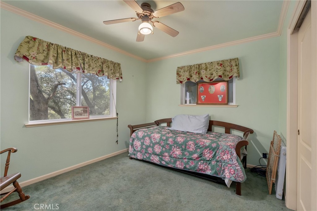 188 Patton Peak Property Photo 23