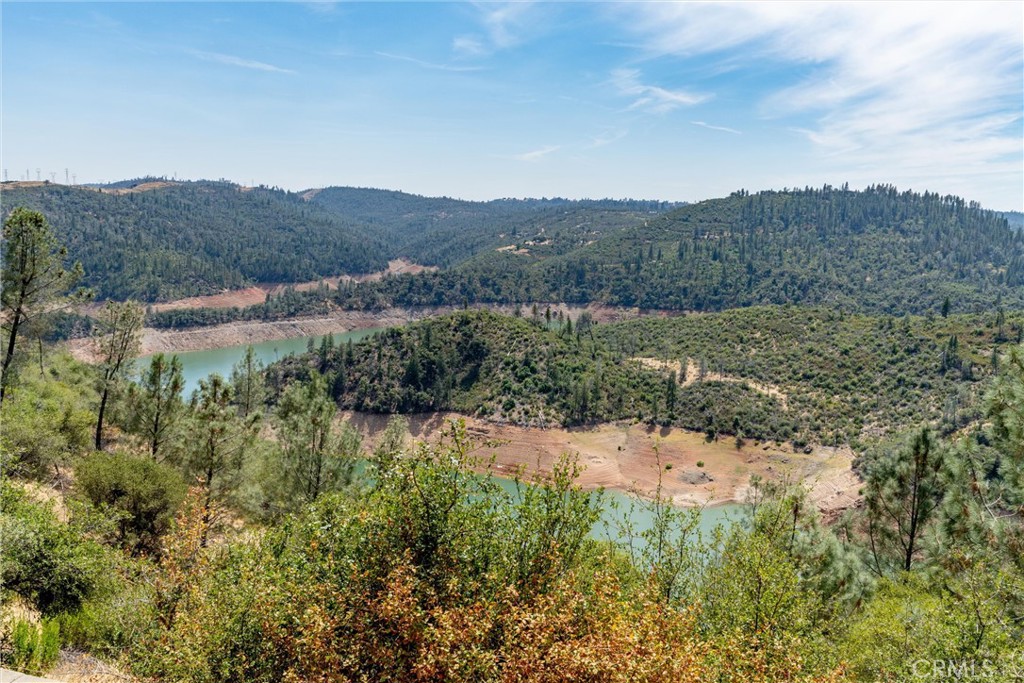 188 Patton Peak Property Photo 41