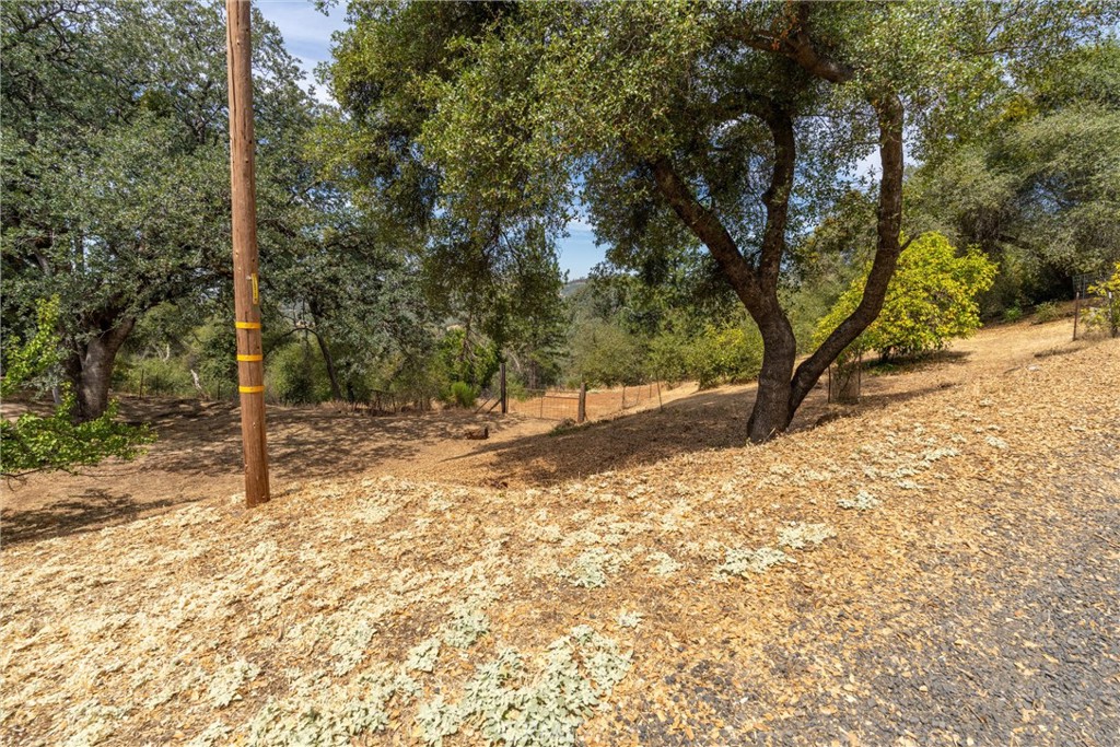 188 Patton Peak Property Photo 58