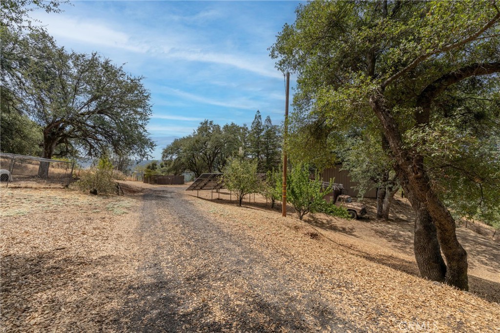 188 Patton Peak Property Photo 59