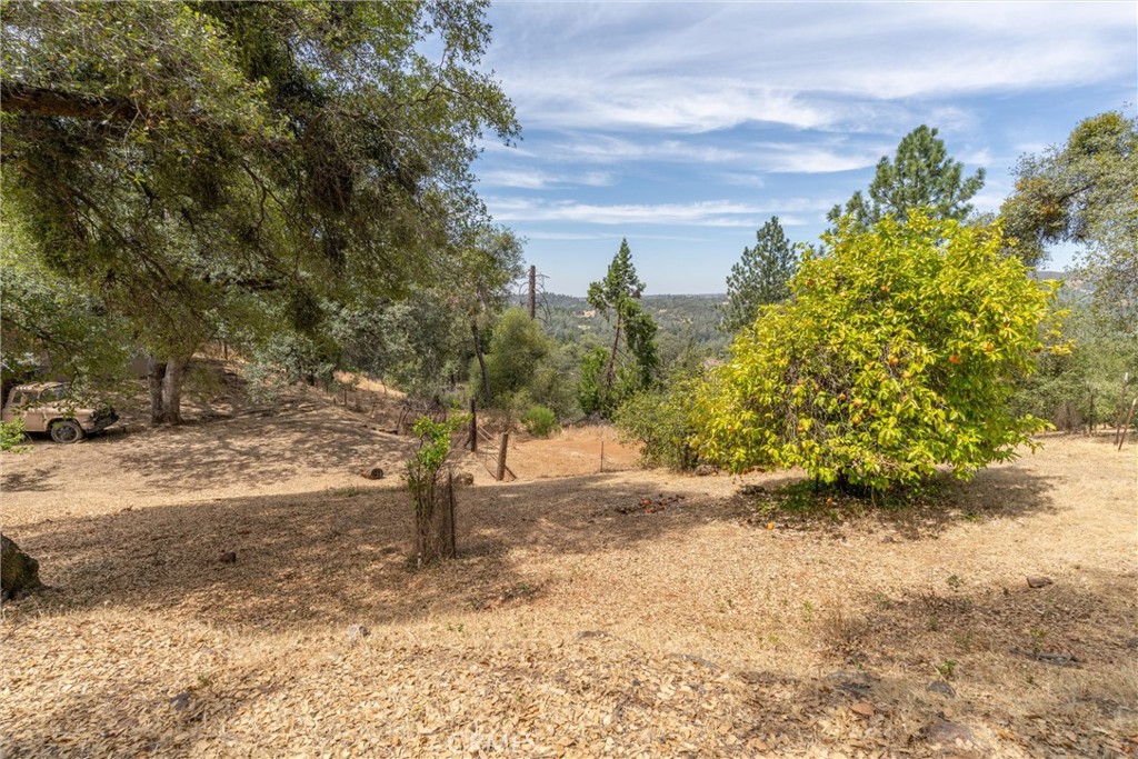 188 Patton Peak Property Photo 60