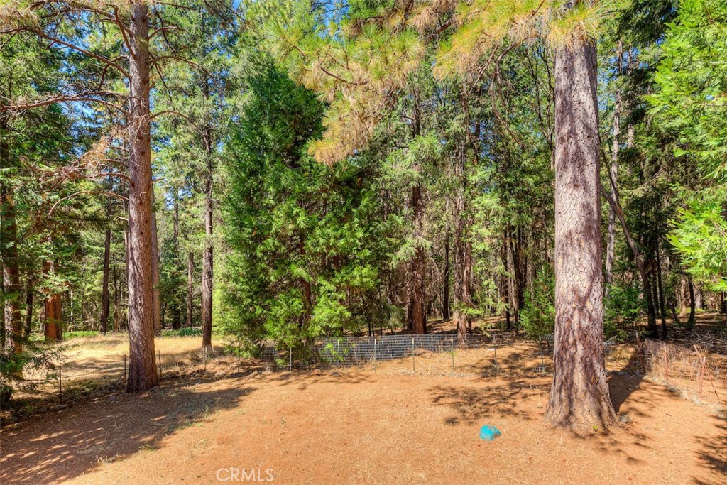 14579 Carnegie Property Photo 39