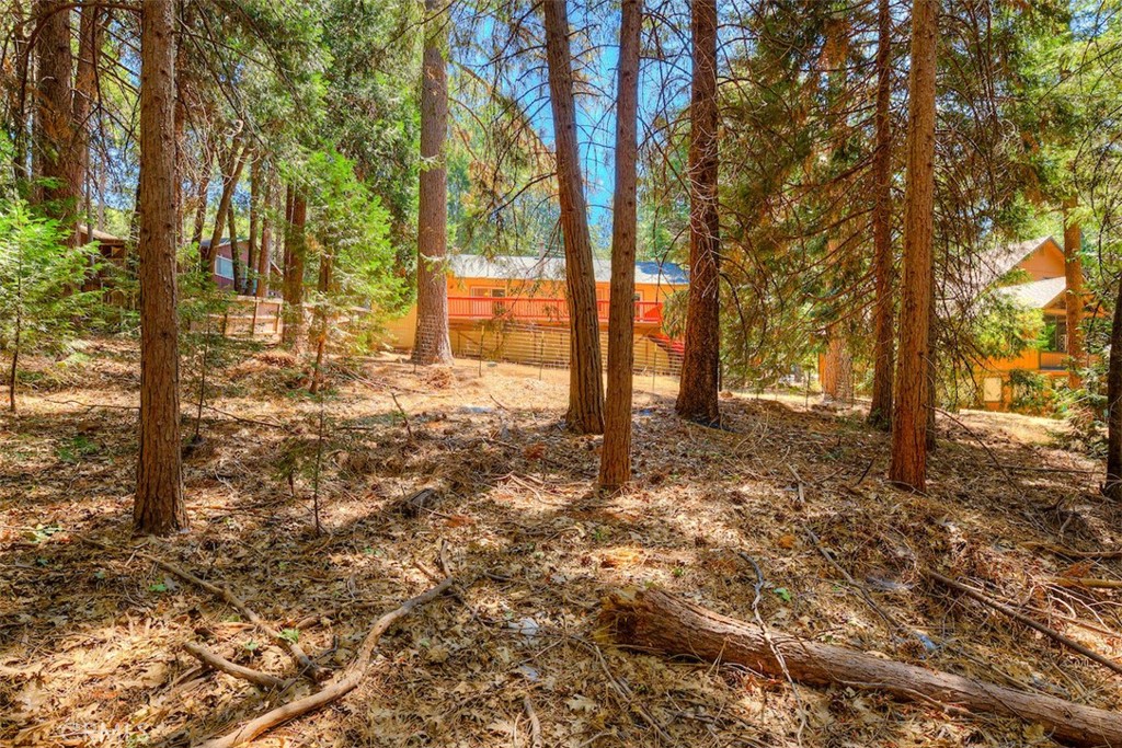 14579 Carnegie Property Photo 44