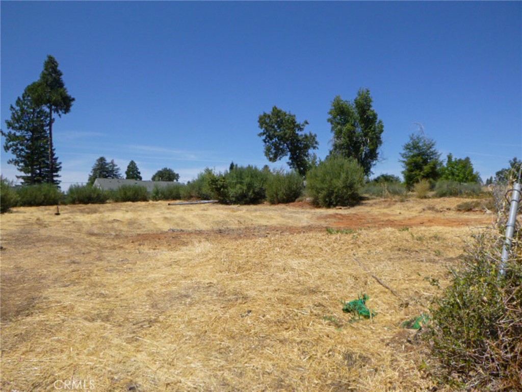 5667 Clara Lane Property Photo 3