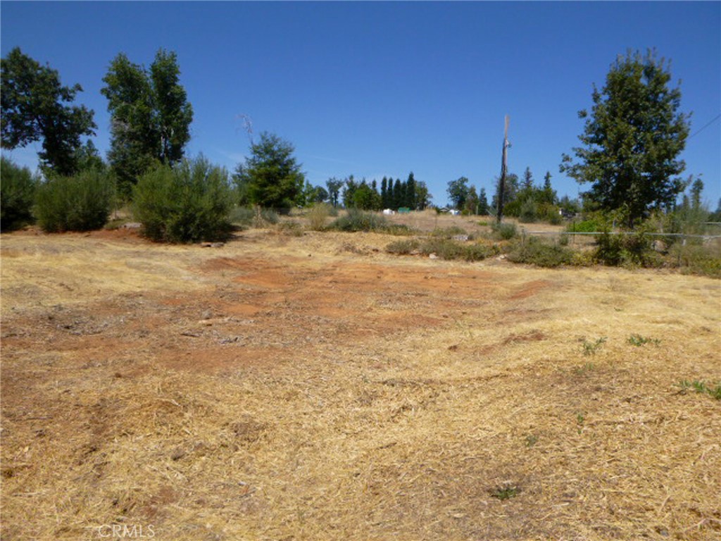 5667 Clara Lane Property Photo 4