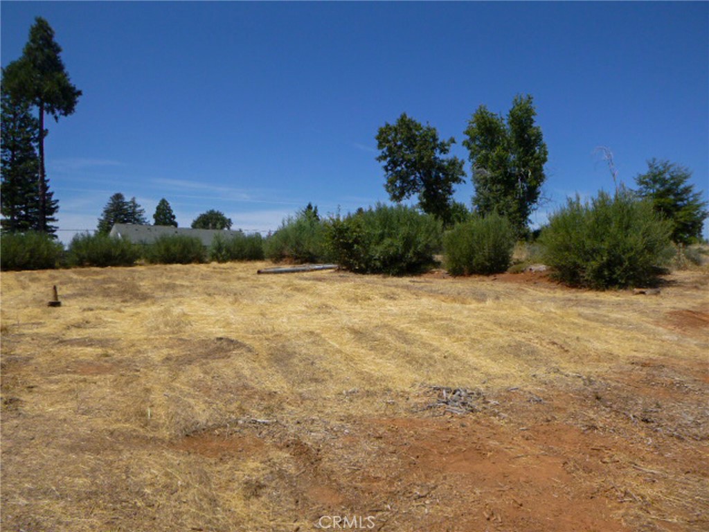 5667 Clara Lane Property Photo 5