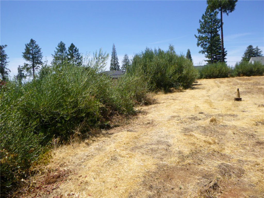 5667 Clara Lane Property Photo 7