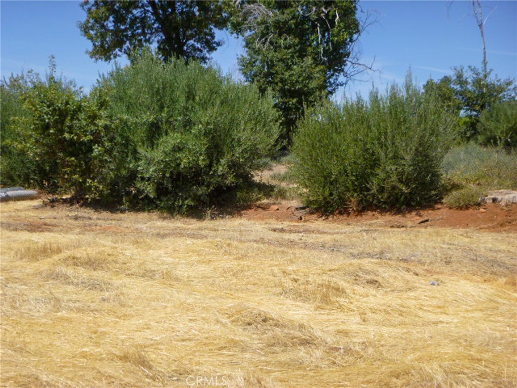 5667 Clara Lane Property Photo 9