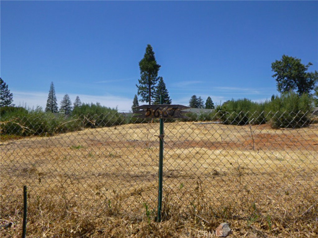 5667 Clara Lane Property Photo 11