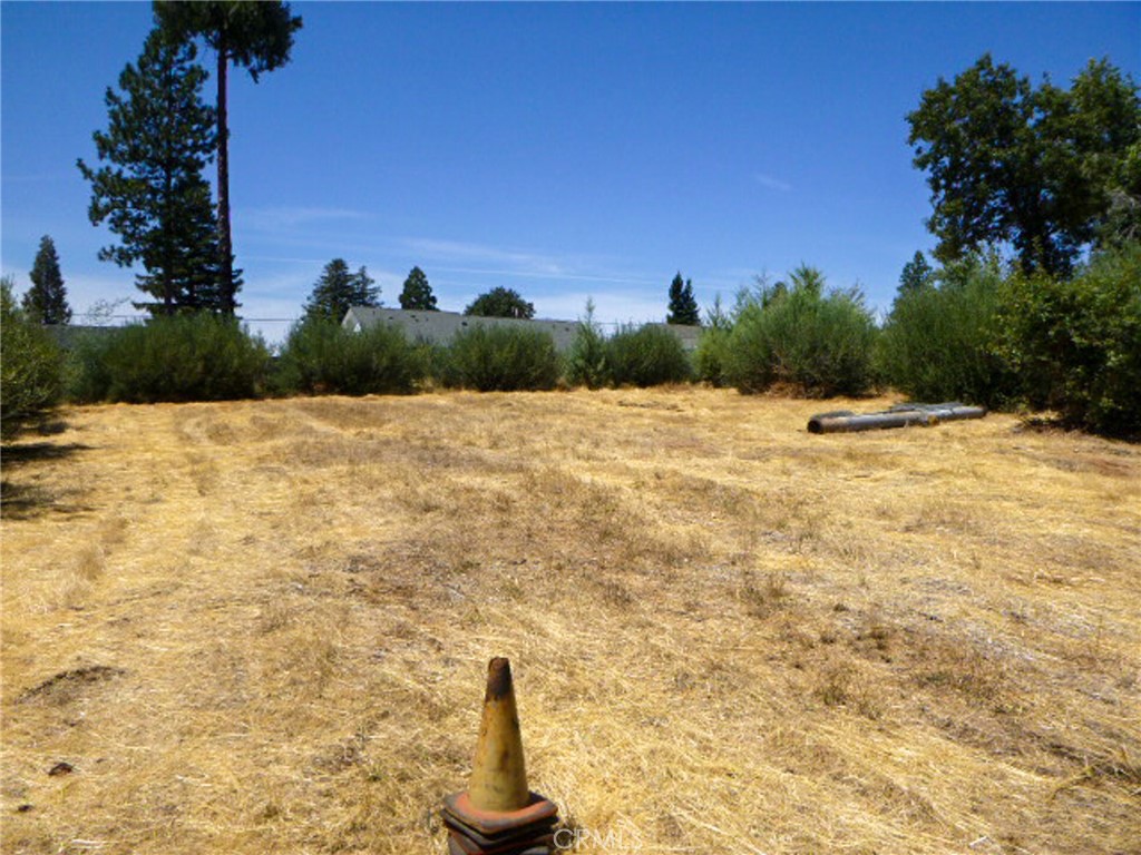 5667 Clara Lane Property Photo 12